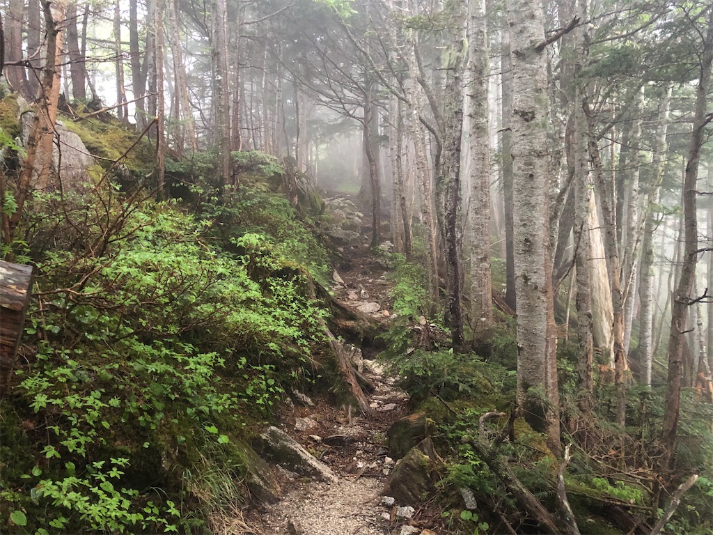 f:id:naka350z:20210620023648j:image