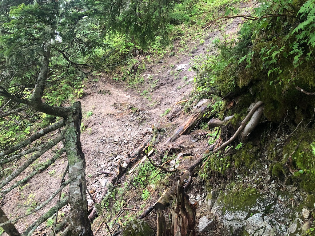 f:id:naka350z:20210620023710j:image