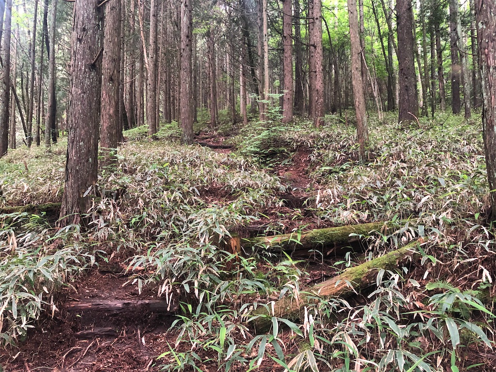 f:id:naka350z:20210620023718j:image