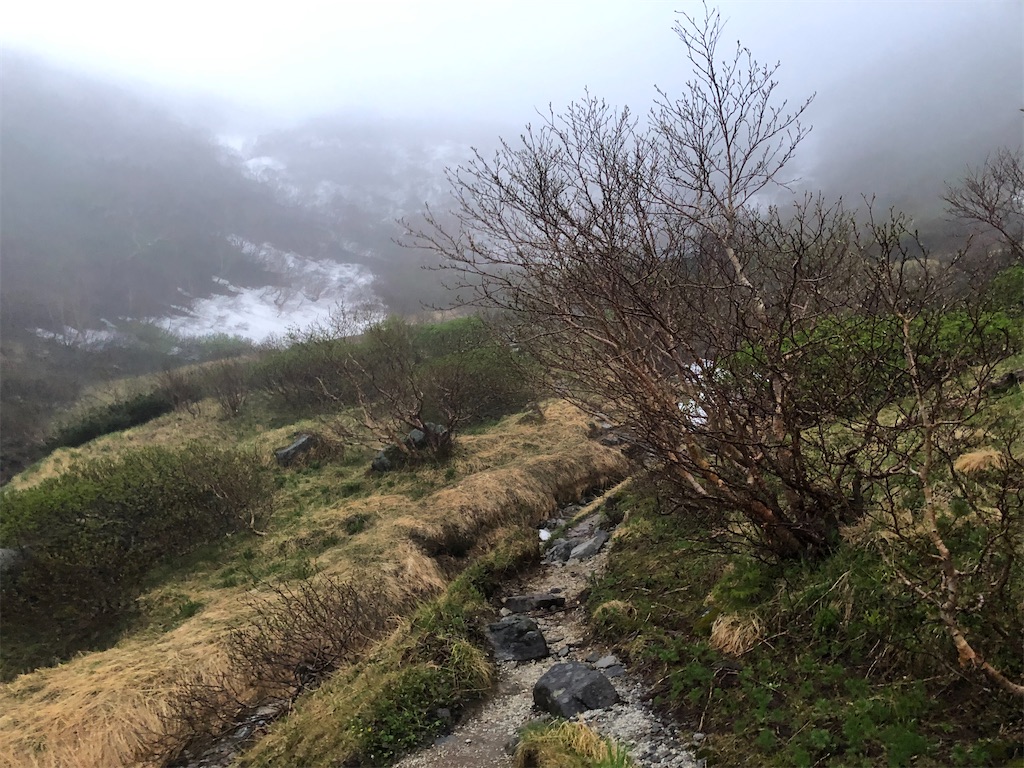 f:id:naka350z:20210620023743j:image