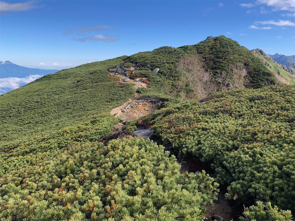 f:id:naka350z:20210622040143j:image