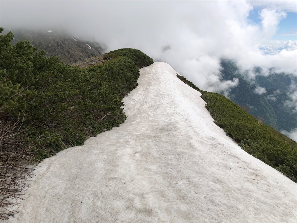 f:id:naka350z:20210622040227j:image