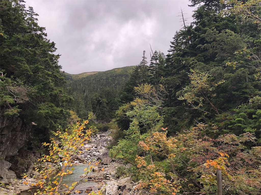 f:id:naka350z:20210718202921j:image f:id:naka350z:20210718202921j:image