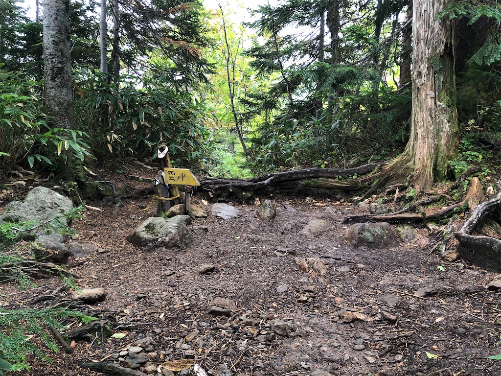 f:id:naka350z:20210718202926j:image