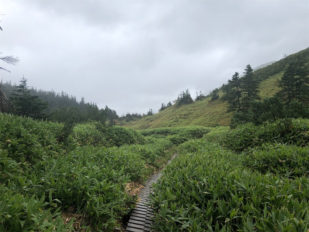 f:id:naka350z:20210718202929j:image