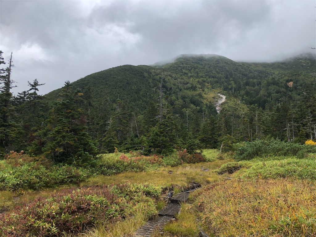 f:id:naka350z:20210718202936j:image