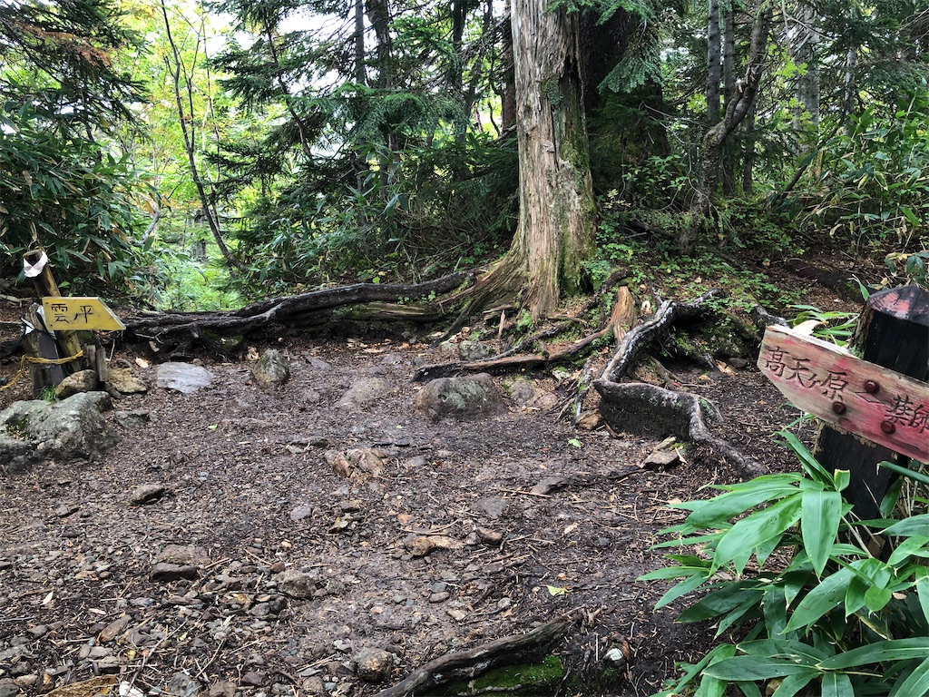 f:id:naka350z:20210718202958j:image f:id:naka350z:20210718202958j:image