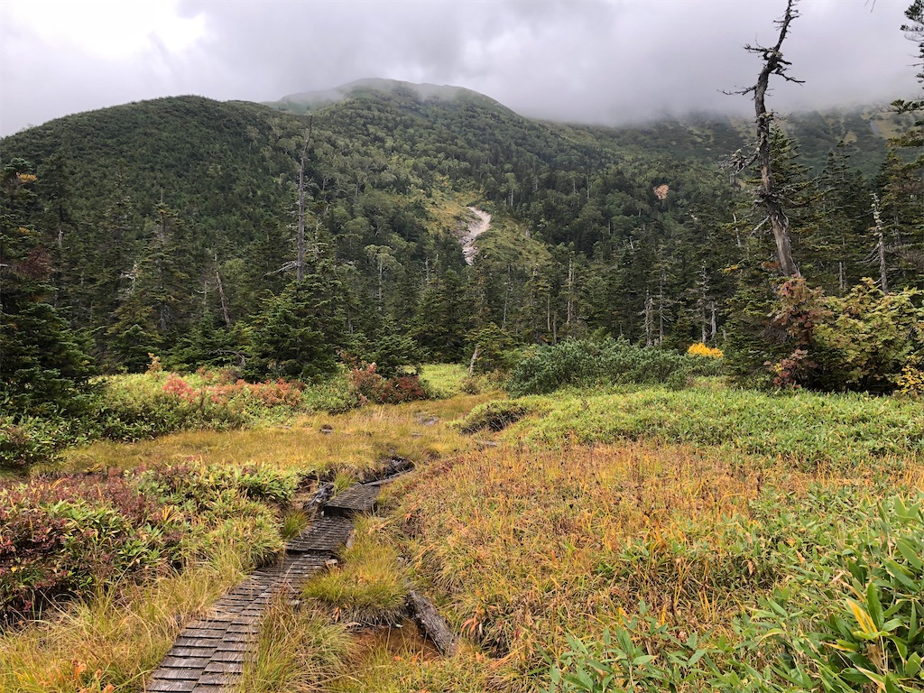 f:id:naka350z:20210718203036j:image f:id:naka350z:20210718203036j:image