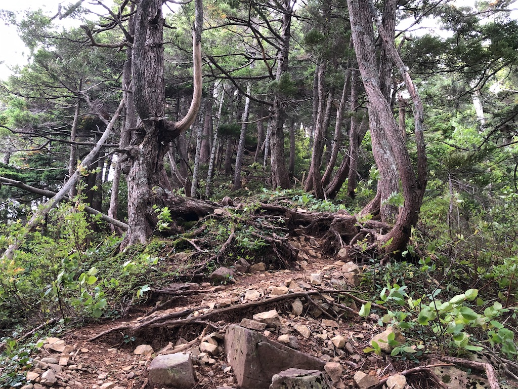 f:id:naka350z:20210718203039j:image f:id:naka350z:20210718203039j:image