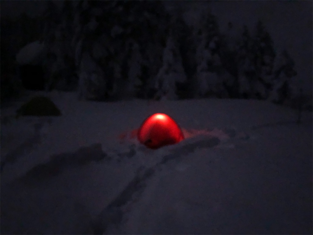 f:id:naka350z:20220131023754j:image