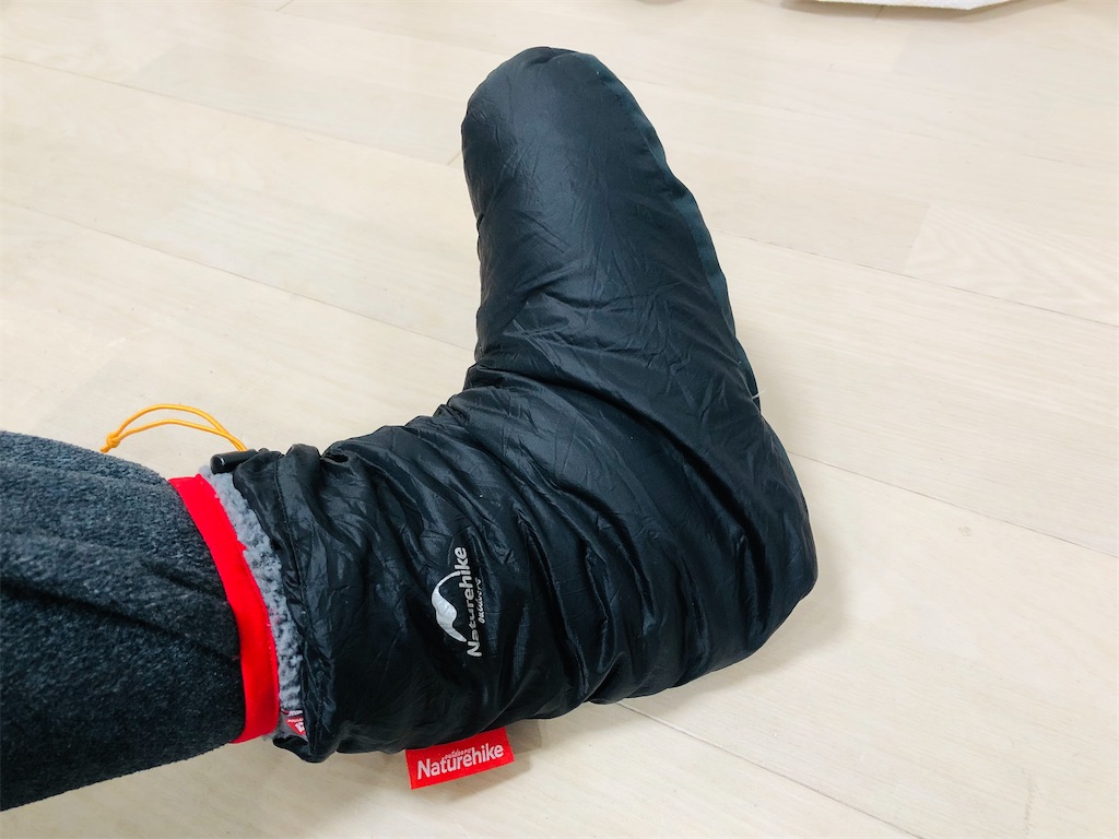 f:id:naka350z:20220202034322j:image