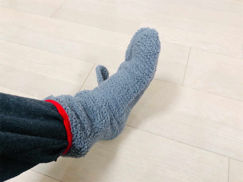 f:id:naka350z:20220202034337j:image