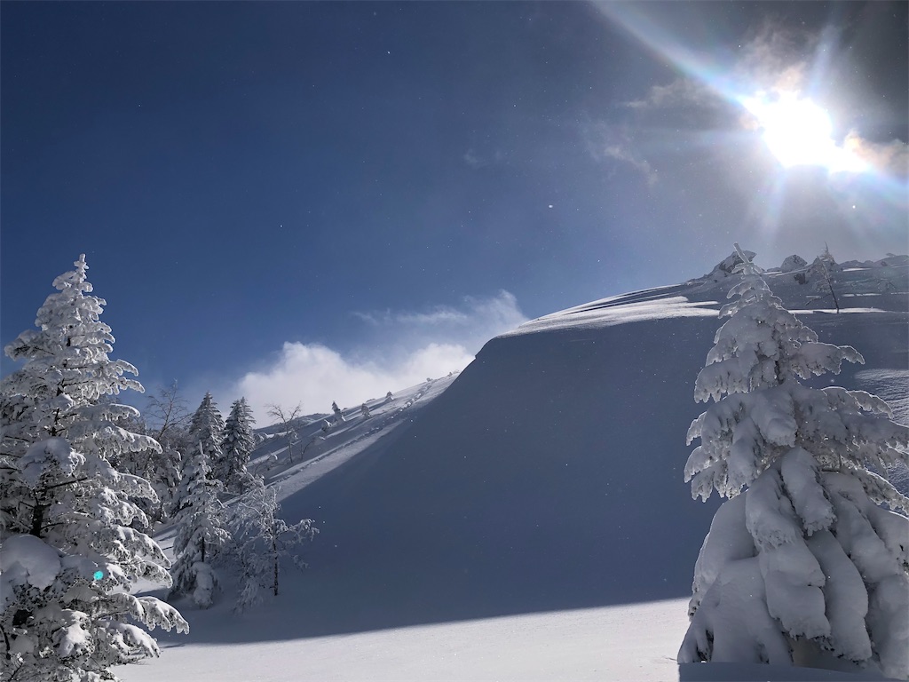 f:id:naka350z:20220207133510j:image