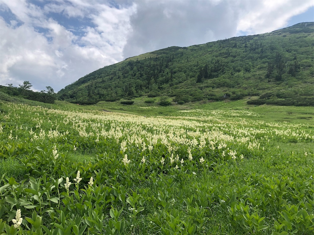 f:id:naka350z:20220801115651j:image f:id:naka350z:20220801115651j:image