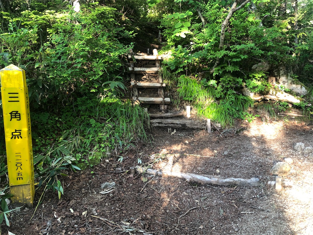 f:id:naka350z:20220801115705j:image