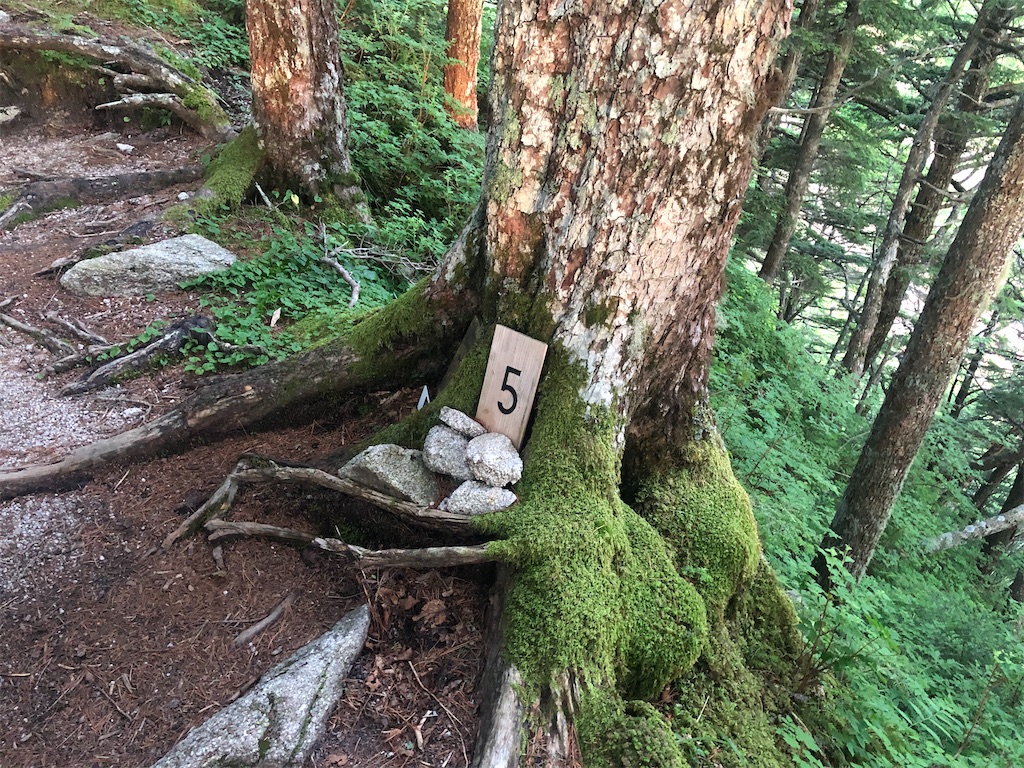 f:id:naka350z:20220801115725j:image