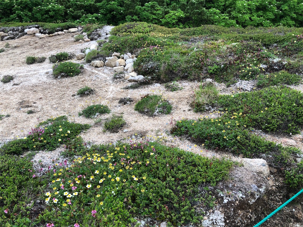 f:id:naka350z:20220801115738j:image f:id:naka350z:20220801115738j:image