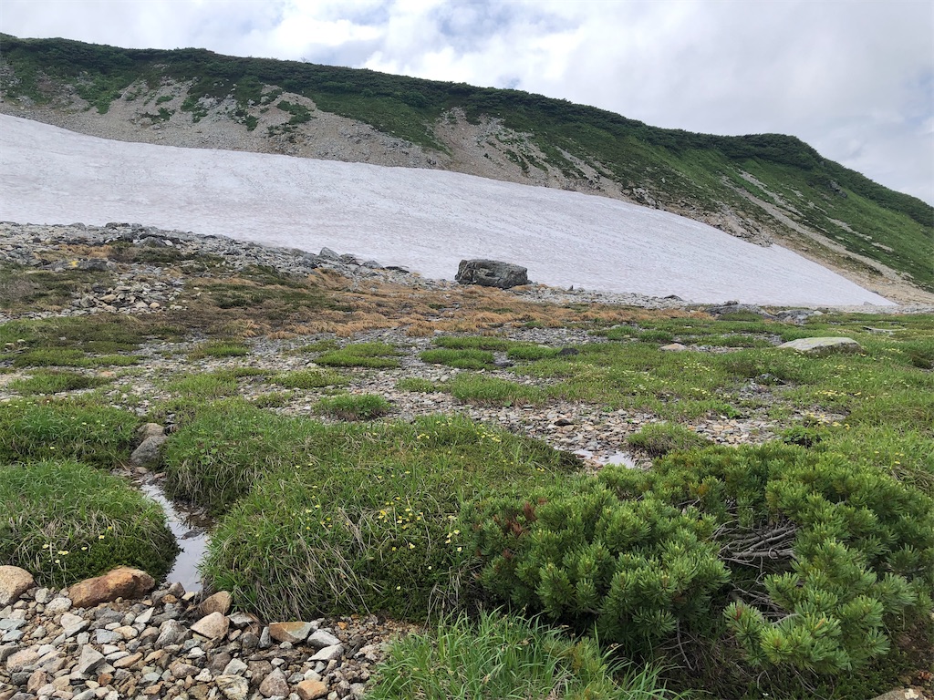 f:id:naka350z:20220801115903j:image