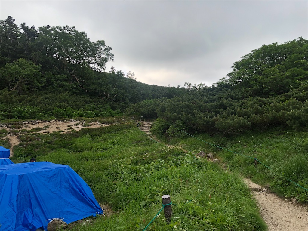 f:id:naka350z:20220801115917j:image f:id:naka350z:20220801115917j:image