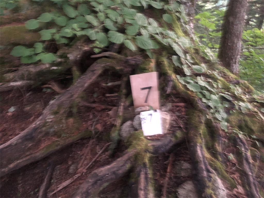 f:id:naka350z:20220801115937j:image