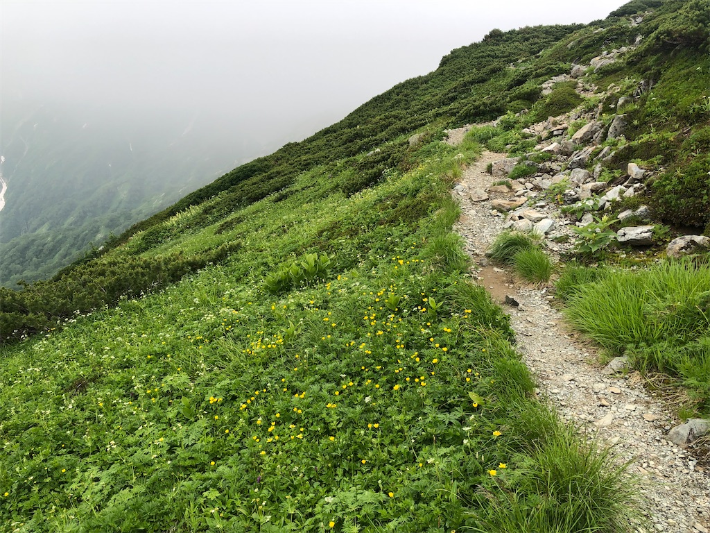 f:id:naka350z:20220801120011j:image