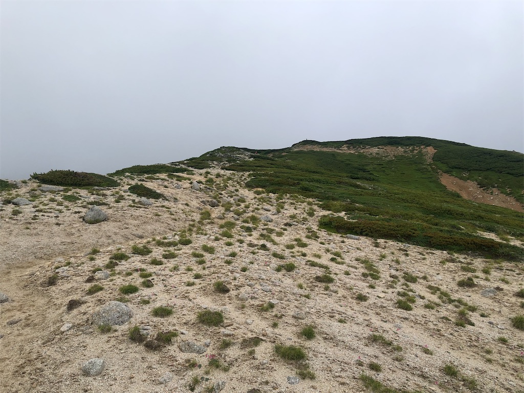 f:id:naka350z:20220801120020j:image f:id:naka350z:20220801120020j:image