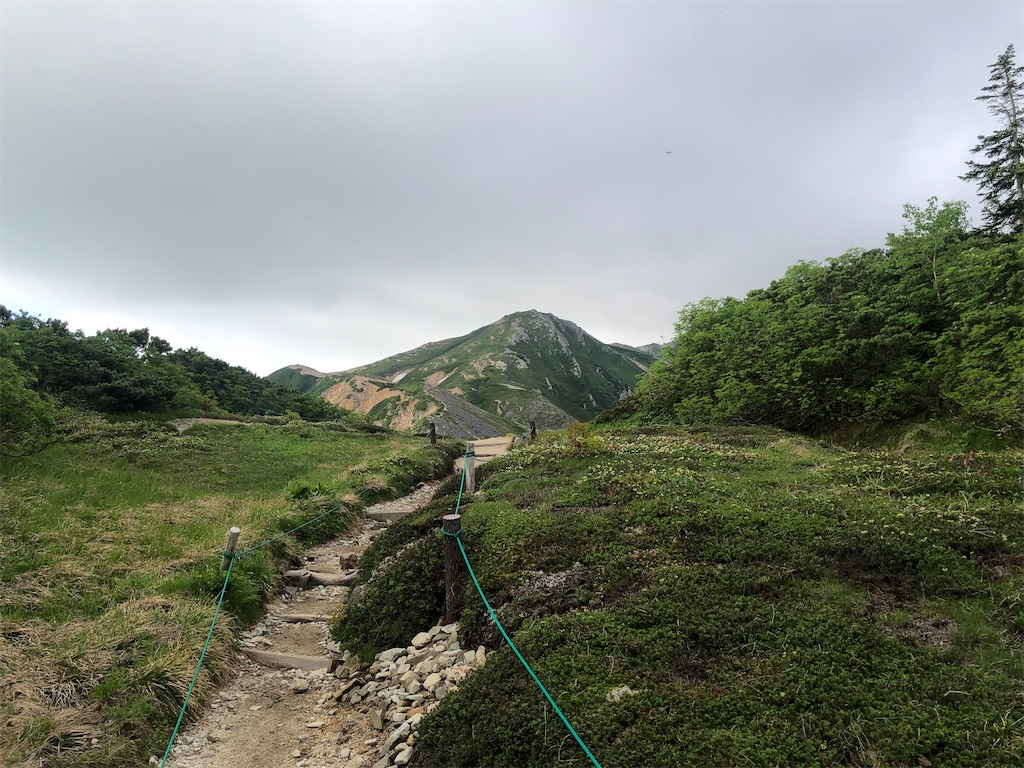 f:id:naka350z:20220801120034j:image f:id:naka350z:20220801120034j:image