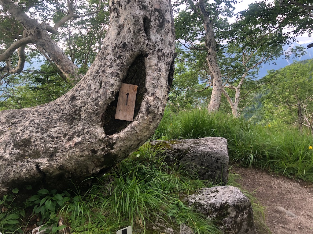 f:id:naka350z:20220801120106j:image