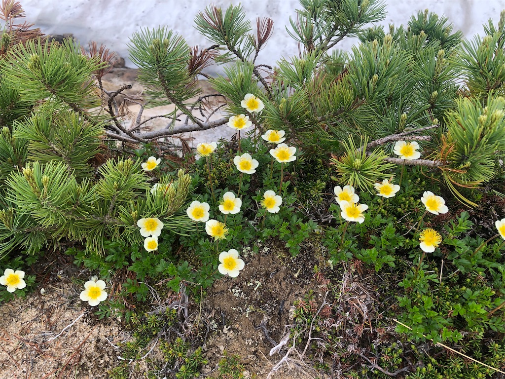 f:id:naka350z:20220801120127j:image