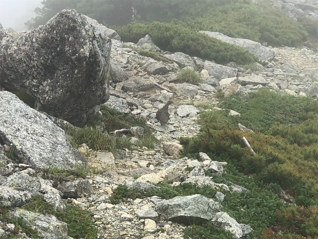 f:id:naka350z:20220801120205j:image