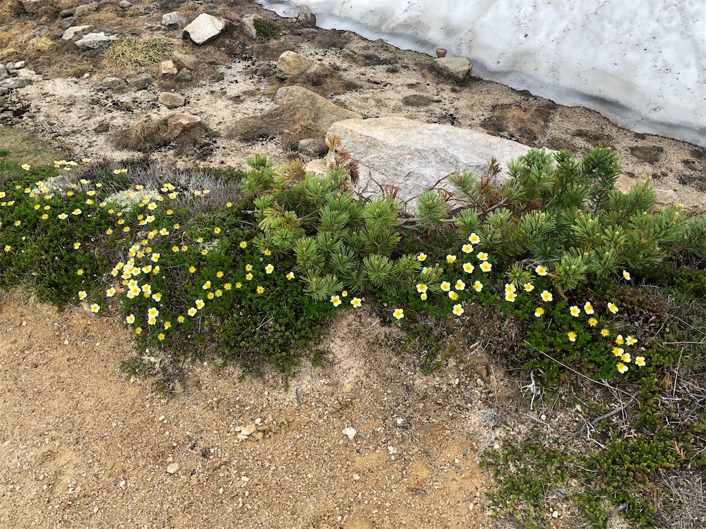 f:id:naka350z:20220801120223j:image f:id:naka350z:20220801120223j:image