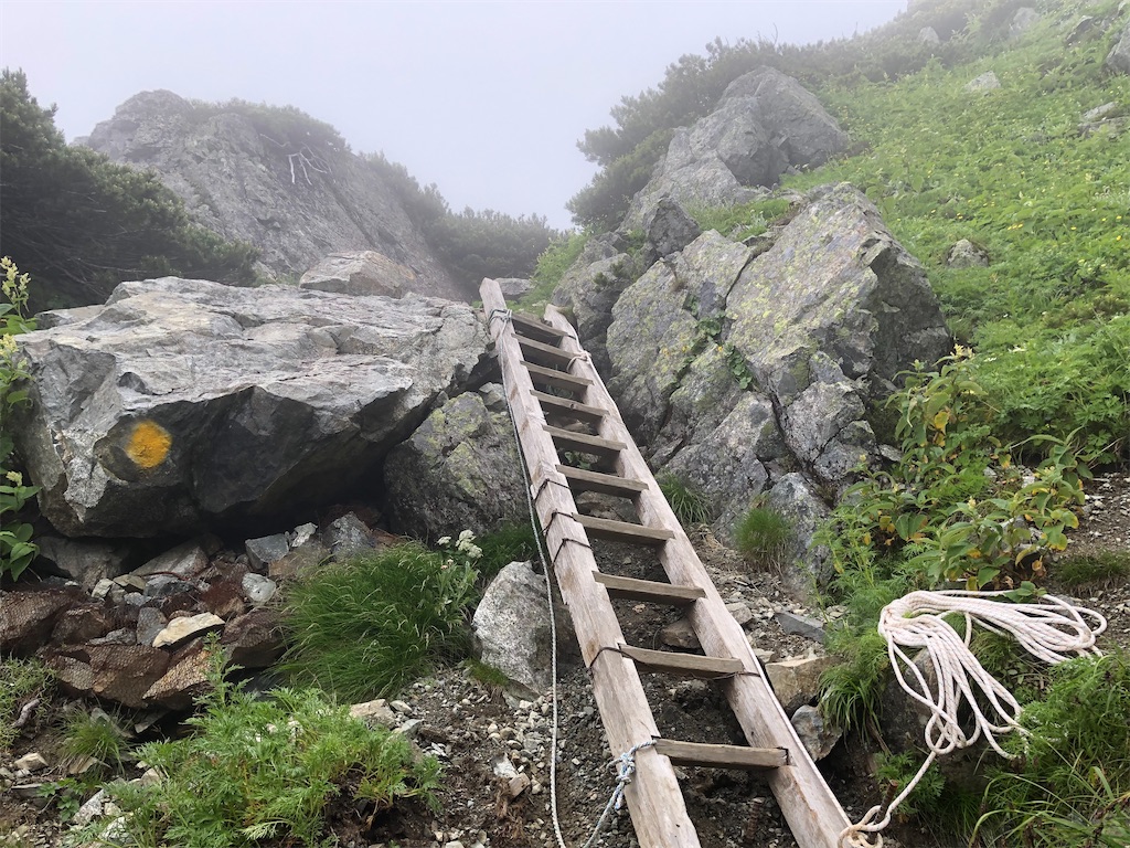 f:id:naka350z:20220801120234j:image