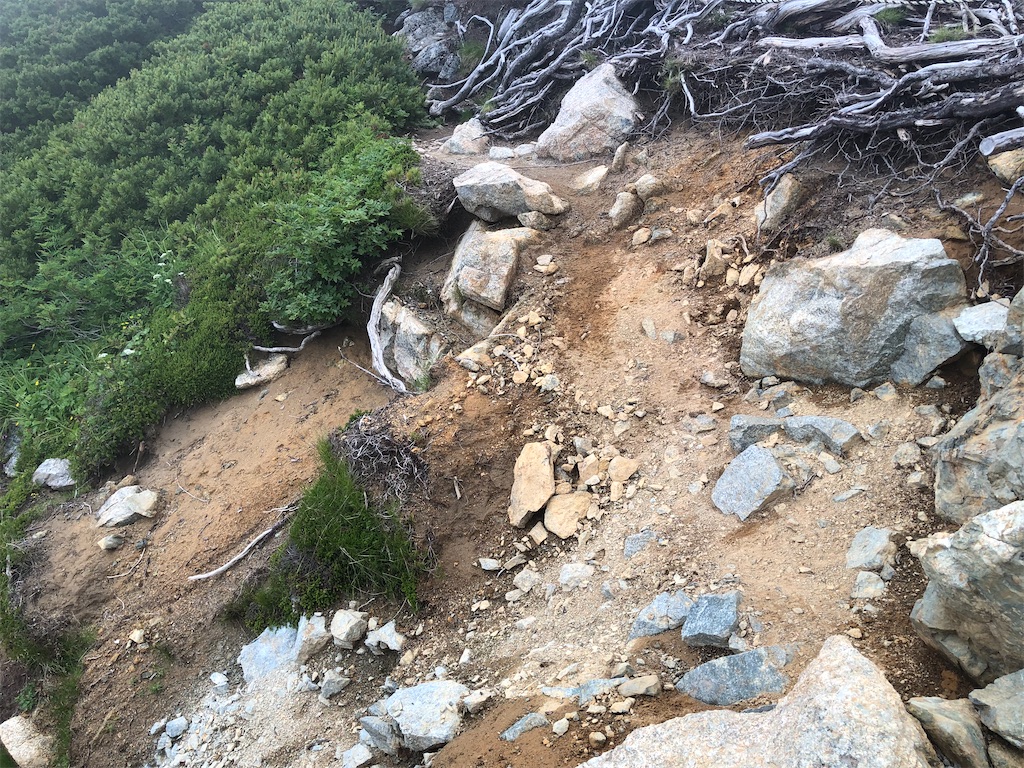 f:id:naka350z:20220801120243j:image f:id:naka350z:20220801120243j:image