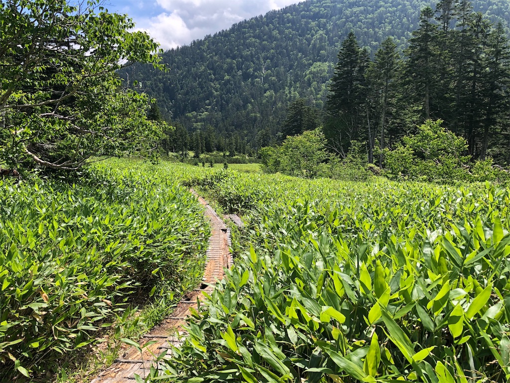 f:id:naka350z:20220807161056j:image f:id:naka350z:20220807161056j:image