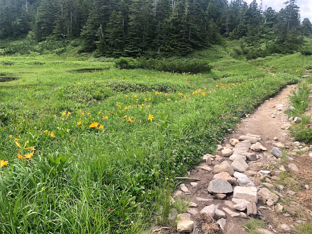 f:id:naka350z:20220807161103j:image f:id:naka350z:20220807161103j:image