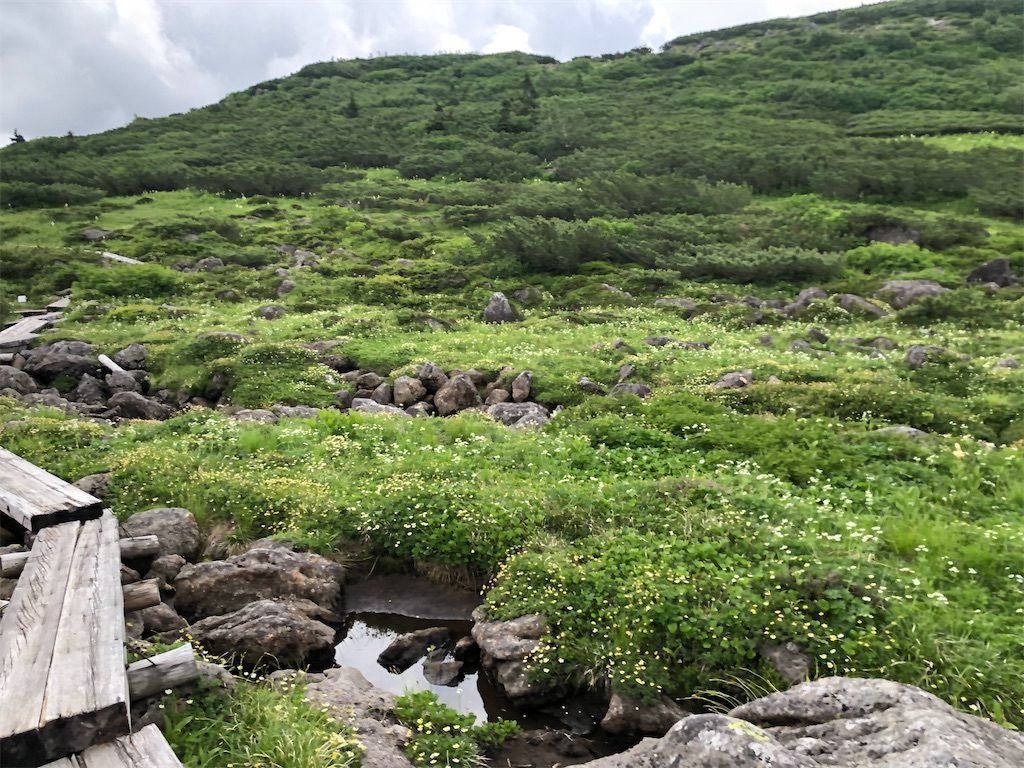 f:id:naka350z:20220807161121j:image f:id:naka350z:20220807161121j:image