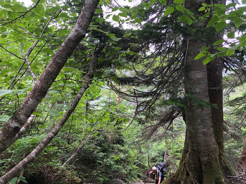 f:id:naka350z:20220807161136j:image