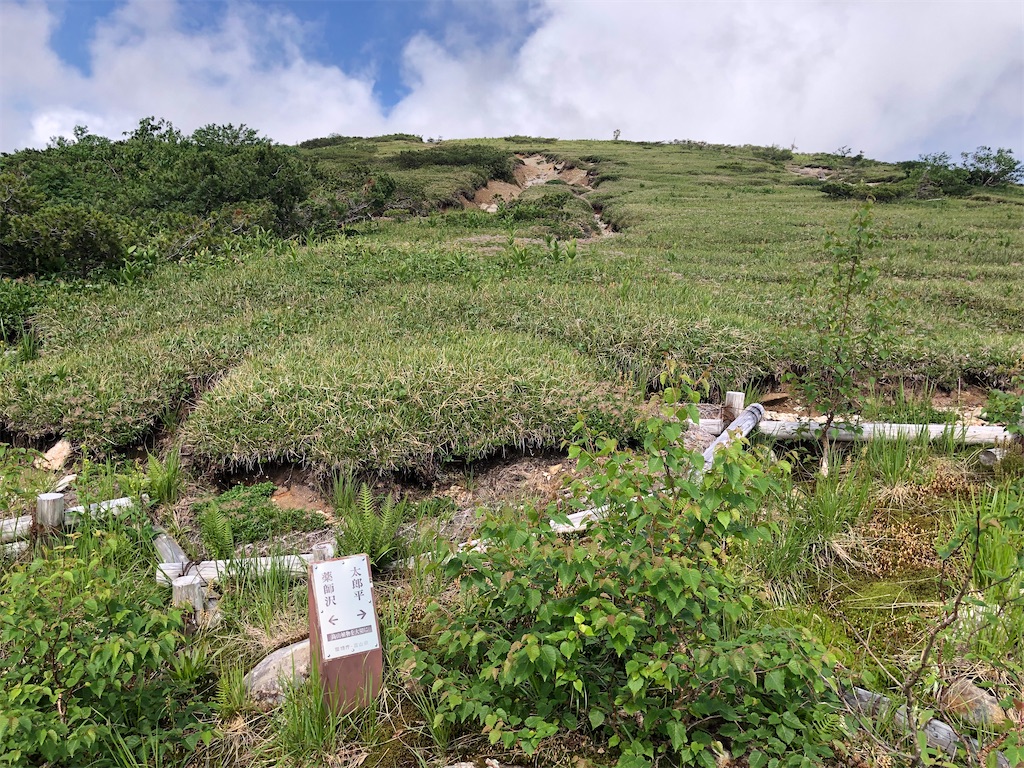 f:id:naka350z:20220807161145j:image