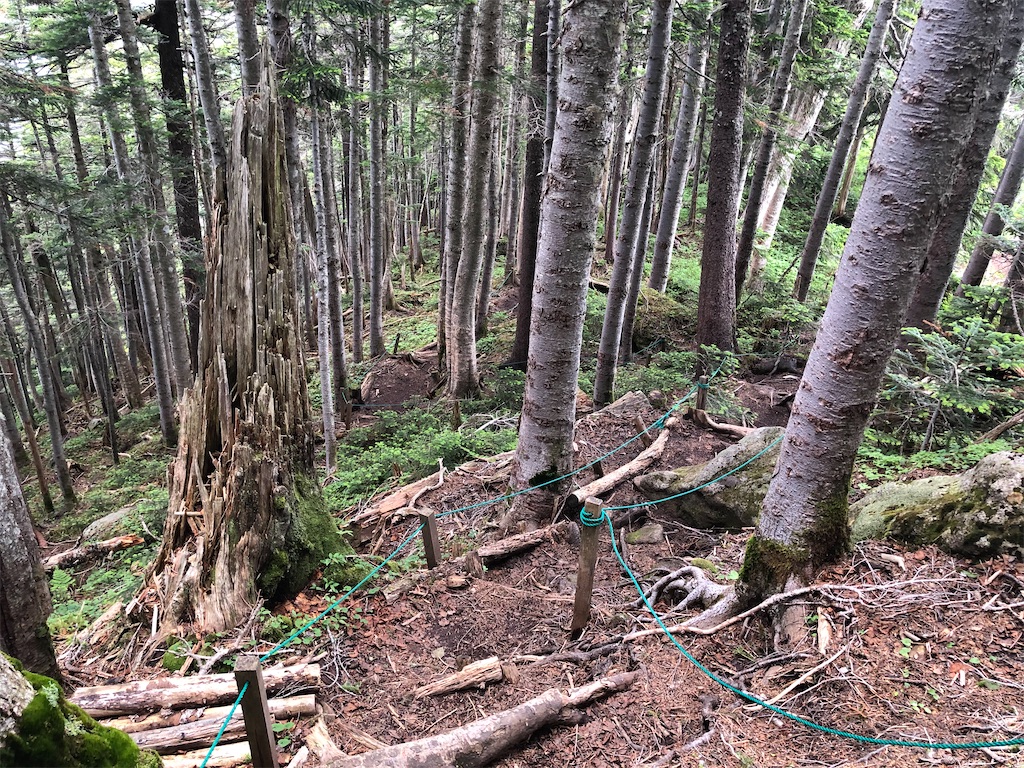 f:id:naka350z:20220807161155j:image