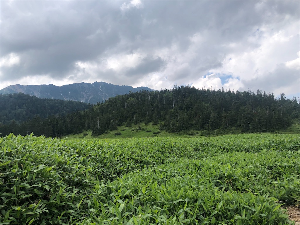 f:id:naka350z:20220807161202j:image f:id:naka350z:20220807161202j:image