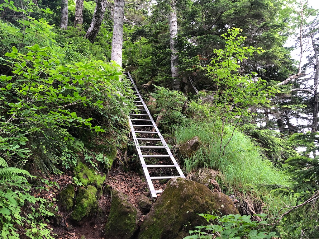 f:id:naka350z:20220807161238j:image