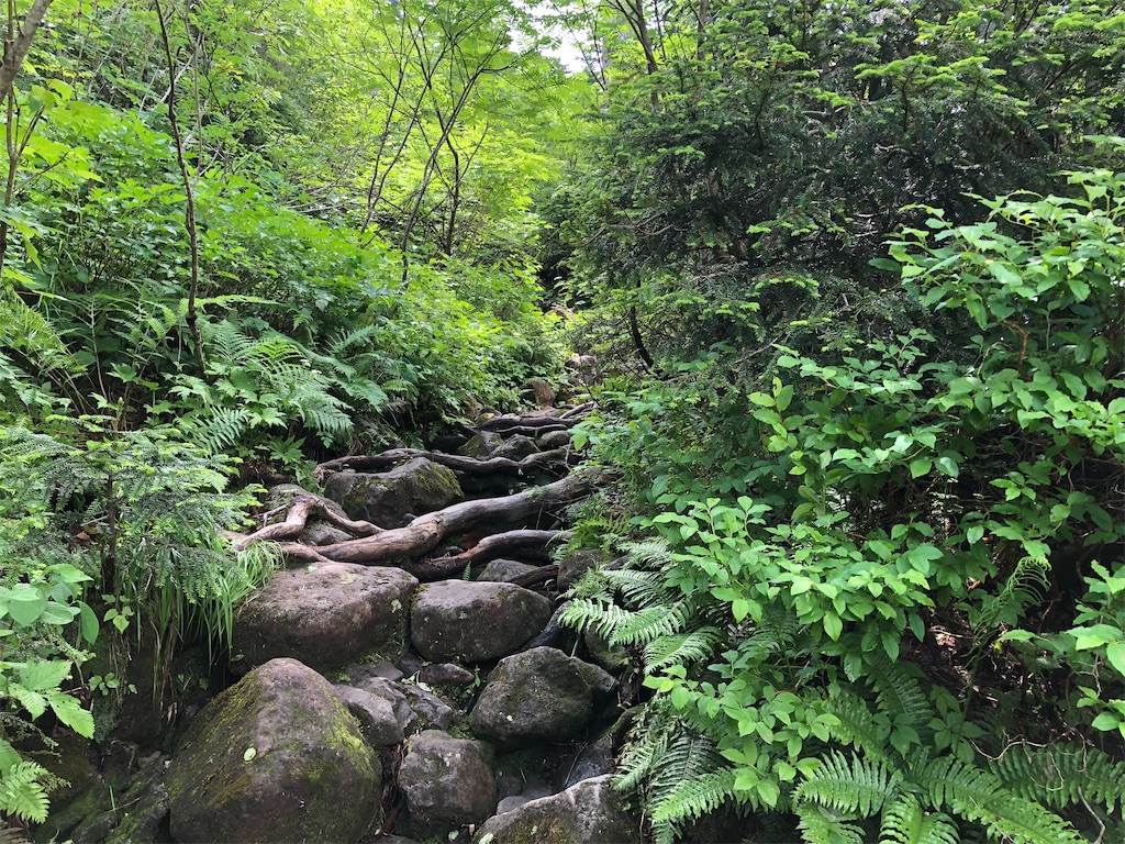 f:id:naka350z:20220807161248j:image f:id:naka350z:20220807161248j:image