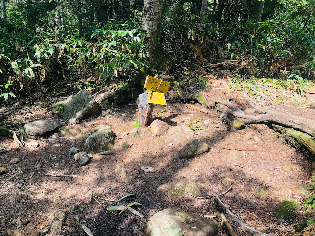 f:id:naka350z:20220807161255j:image