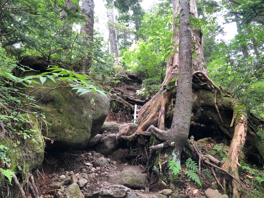 f:id:naka350z:20220807161414j:image f:id:naka350z:20220807161414j:image