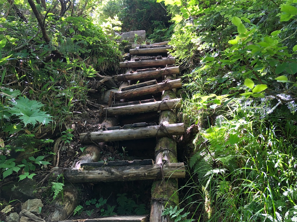 f:id:naka350z:20220807161425j:image f:id:naka350z:20220807161425j:image