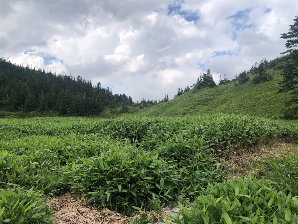 f:id:naka350z:20220807161449j:image f:id:naka350z:20220807161449j:image