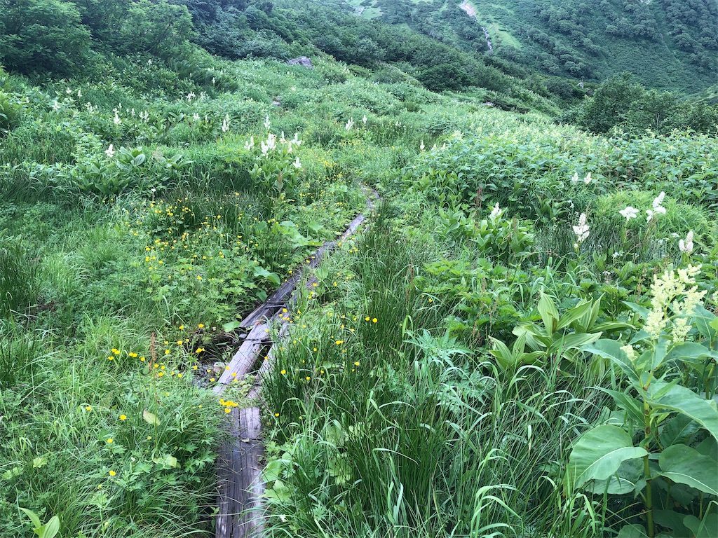 f:id:naka350z:20220816200835j:image