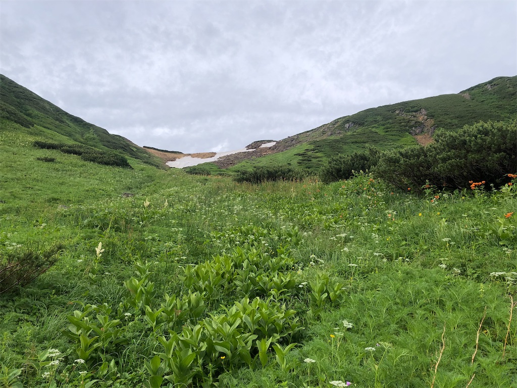 f:id:naka350z:20220816200919j:image f:id:naka350z:20220816200919j:image