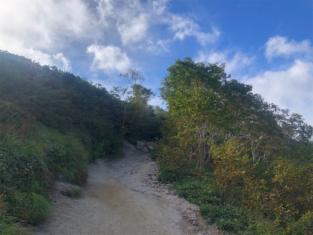 f:id:naka350z:20220919123148j:image