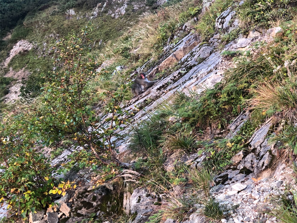 f:id:naka350z:20220921135516j:image